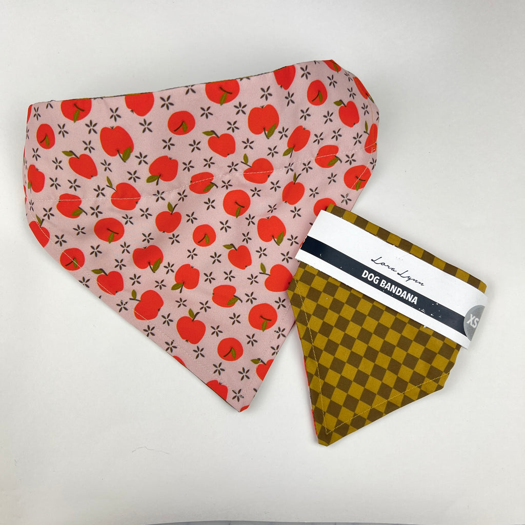 Apple Crisp Checker dog bandana