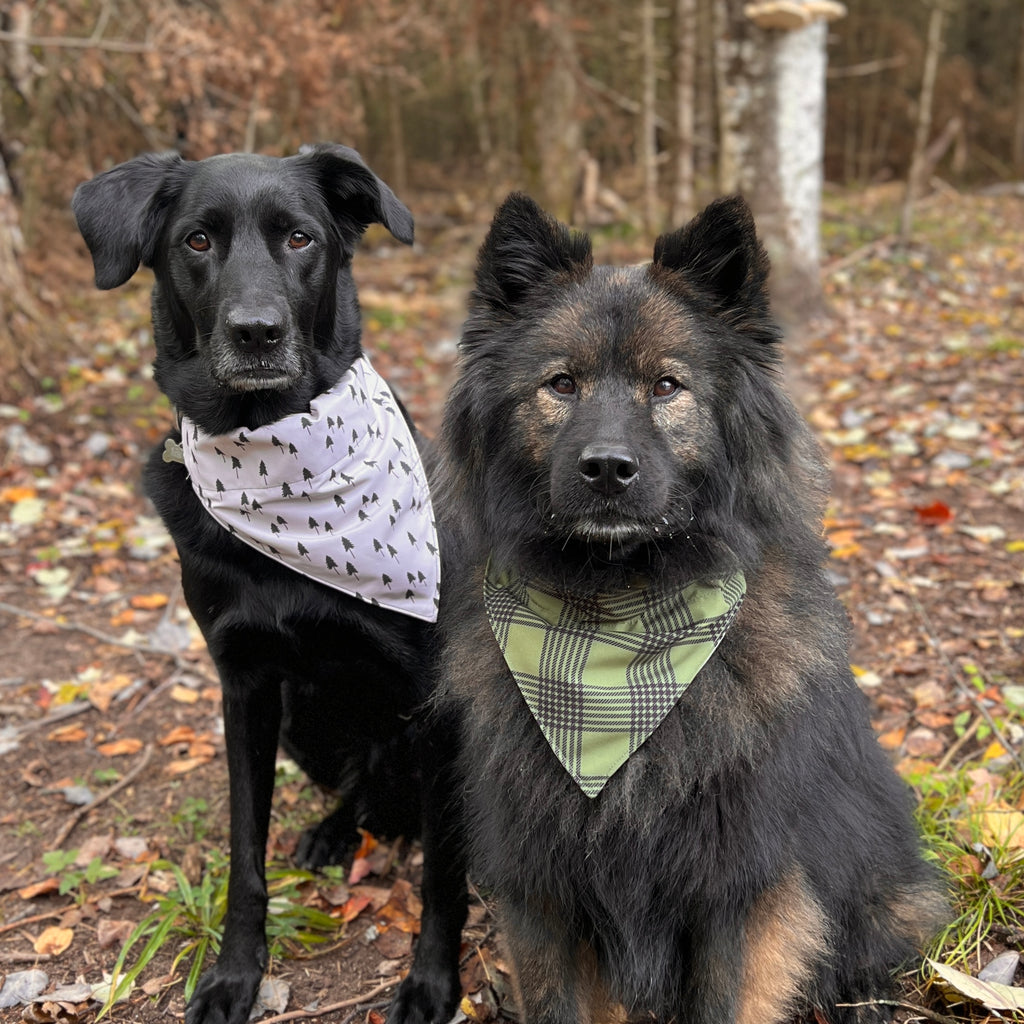 Up North dog bandana