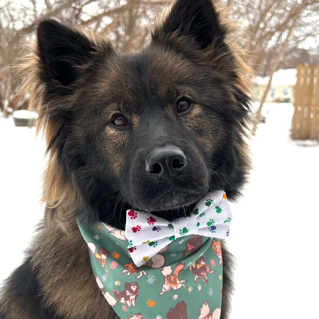 Paw prints dog bow tie