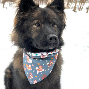 Eurasier in Blue dog bandana