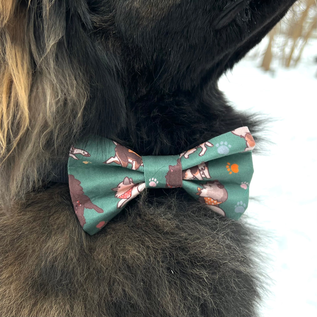 Eurasier in Green dog bow tie
